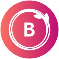 Berenstain Coaching and Consulting, LLC logo - Similar company to Farès Chmait - Executive Coach