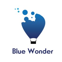 Blue Wonder logo - Similar company to Blue Wonder