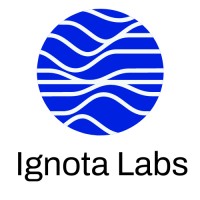 Ignota Labs logo - Similar company to Deepmirror