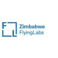 Zimbabwe Flying Labs logo - Similar company to Technical Systems