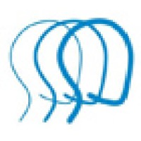 Brain Injury Association of North Carolina logo - Similar company to The Aphasia Project