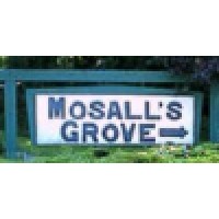 Mosall'S Grove