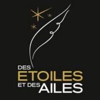 Meeting aérien Des Étoiles et Des Ailes logo - Similar company to Vertical Flight Experience