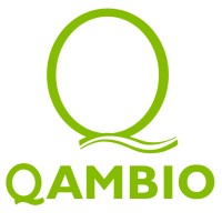 Qambio Consulting