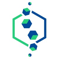 Stability Spine logo - Similar company to Synthecure