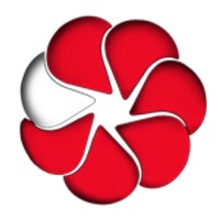 LNE Consulting logo - Similar company to Midas Export Usa