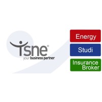 ISNE S.p.A. logo - Similar company to Eva Solutions