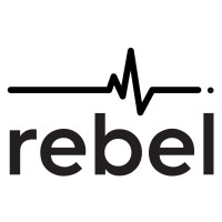 Rebel Softech Private Limited logo - Similar company to Seven Oceans Leasing & Infrastructure Development Private Limited