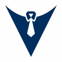 Velvish logo - Similar company to Web Neural Infotech