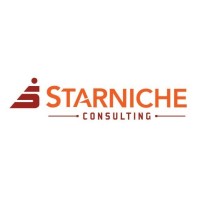 Starniche Consulting logo - Similar company to Project Time And Cost Consultants