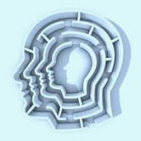 Private Practice Inc. logo - Similar company to Soaringwords