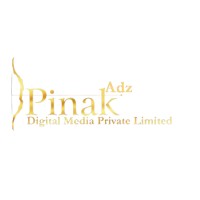 Pinak Digital Media Private Limited logo - Similar company to Media Solutions - Digital Agency