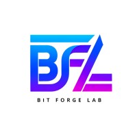 Bit Forge Lab logo - Similar company to Digital Dynamics, Inc.