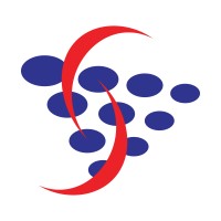 Systems Solutions logo - Similar company to Top Technology