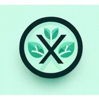 MintX KZ logo - Similar company to Оо «Инжир»