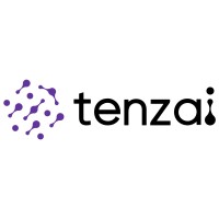Tenzai Systems logo - Similar company to Redefinit Technologies