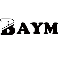 BAYM Electric Co., Ltd logo - Similar company to Power Systems Design