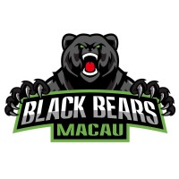 Macau Black Bears Basketball Club logo - Similar company to Katsniff