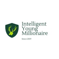 Intelligent Young Millionaire Network logo - Similar company to S-Cash - La Nano Banque Mobile (Service Financier Numérique D’Appui À L’Inclusion Financière)
