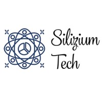 Silizium Tech logo - Similar company to Asnaviram Networks