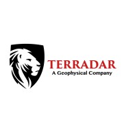 Terradar SA de CV logo - Similar company to Mxspace