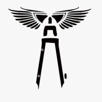 Space Wings logo - Similar company to Designicon Architects