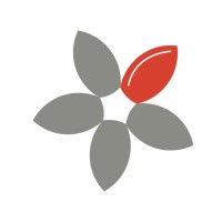 Exseed - Excellence In Software Engineering Education logo - Similar company to Conecte Treinamento E Serviços Ltda