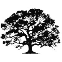 Post Oak Creek Capital logo - Similar company to Diamond Dragon Advisors