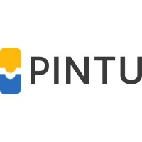 Pintu logo - Similar company to Mtdwise