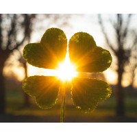 MenoMind logo - Similar company to Menokind