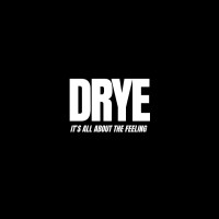DRYE logo - Similar company to Workspace Dreams