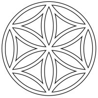 Different solutions ltd logo - Similar company to Vitruvius Design