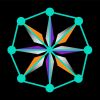 Nexalaris Tech logo - Similar company to Leafbyte Technology