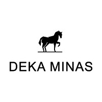 DEKA MINAS logo - Similar company to Huntwave
