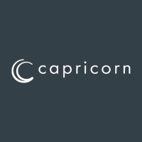 capricorn AUTOMOTIVE SAS logo - Similar company to Kalysse