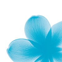 Dermatologic Surgery Center of Washington logo - Similar company to Center For Plastic Surgery