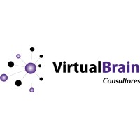 VirtualBrain Consulting logo - Similar company to Virtual Brain