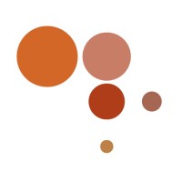 DPI - Shaping polymer innovation logo - Similar company to Mears Technologies, Inc.