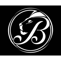 The Boehm Collective logo - Similar company to Beam Interactive, Inc