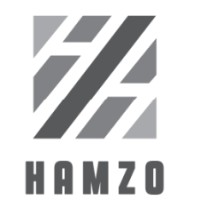 Hamzo Advisory logo - Similar company to Insider Pro Ltd