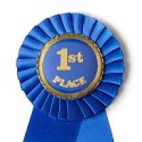 First Place Consultoria logo - Similar company to Palas Capital