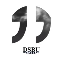 Тёмная Сторона Бизнеса (dsbu.ru) logo - Similar company to Lynix Networks