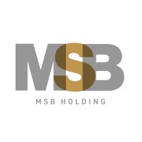 MSB Holding logo - Similar company to Coaching With David Thompson