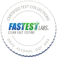 Fastest Labs Of Coon Rapids