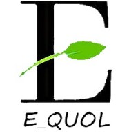 E_quol Solutions logo - Similar company to Environmental & Civil Engineering Solutions