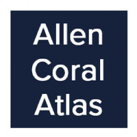 Allen Coral Atlas logo - Similar company to Global Conservation