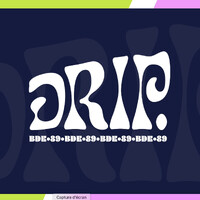 DRIP BDE logo - Similar company to Numconseils