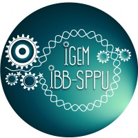 Team IBB-SPPU (iGEM 2023) logo - Similar company to Igniters, E-Cell(Ibb,Sppu)