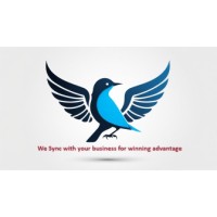 SynWin logo - Similar company to Synwin Solutions