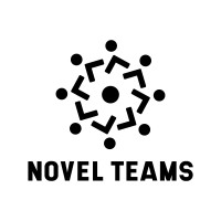 Novel Teams logo - Similar company to Easyclinic